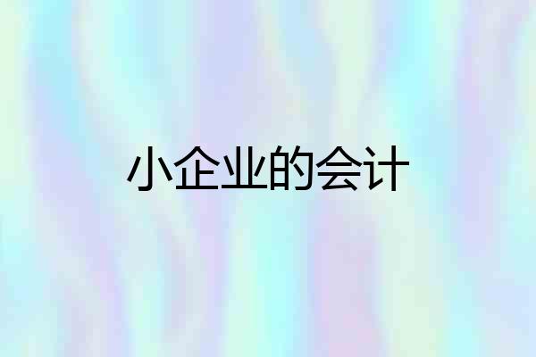 小企业的会计