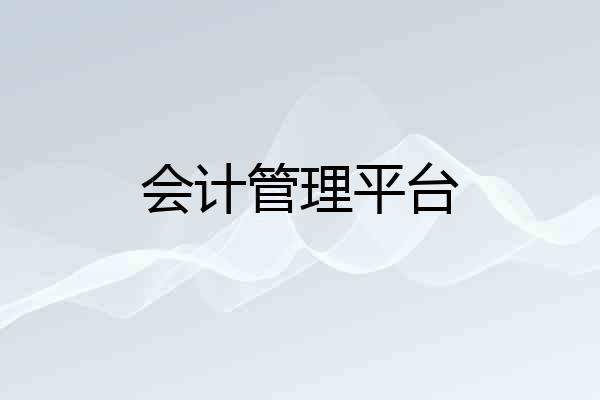 会计管理平台