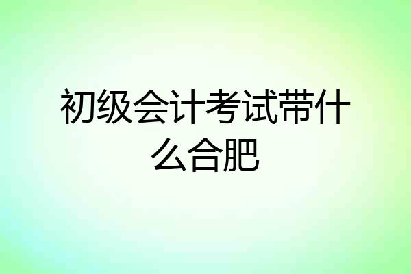 初级会计考试带什么合肥