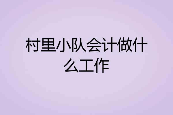 村里小队会计做什么工作