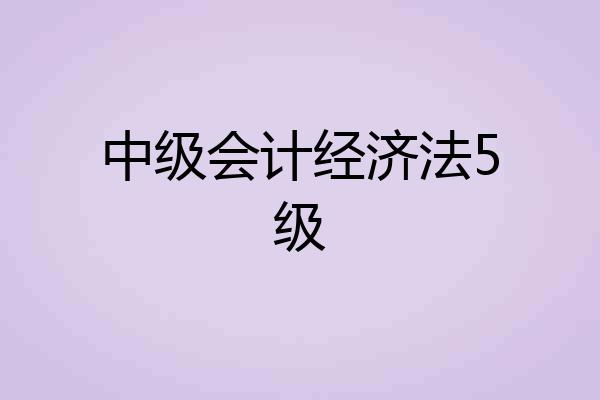 中级会计经济法5级