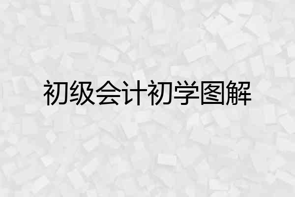 初级会计初学图解