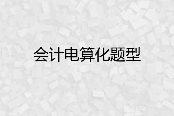 会计电算化题型