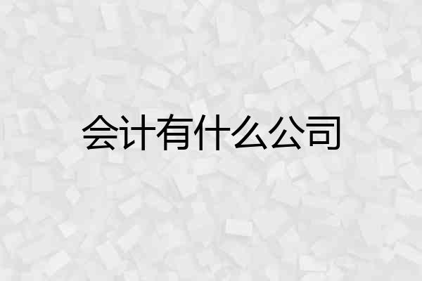 会计有什么公司