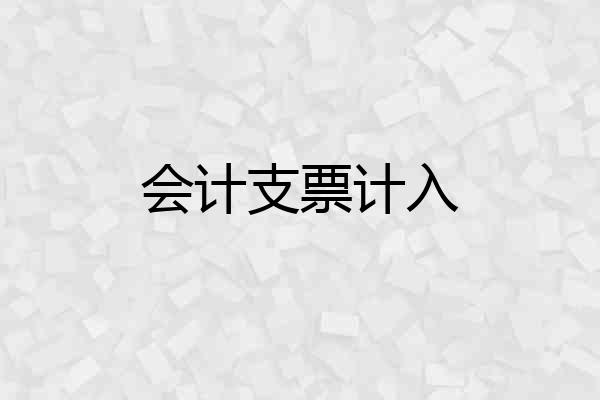 会计支票计入