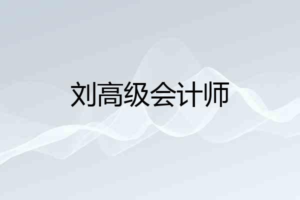 刘高级会计师