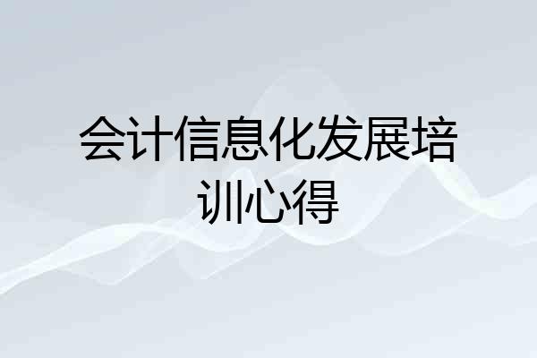 会计信息化发展培训心得