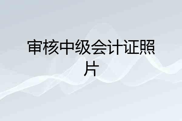 审核中级会计证照片