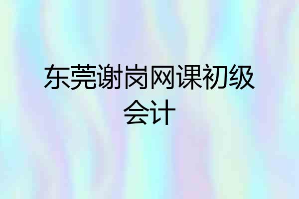 东莞谢岗网课初级会计