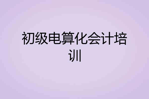 初级电算化会计培训
