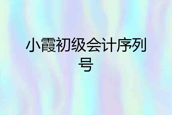 小霞初级会计序列号