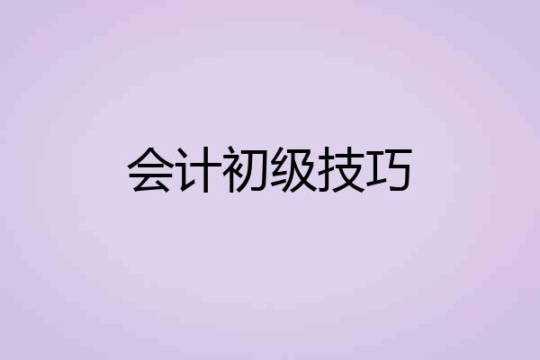 会计初级技巧