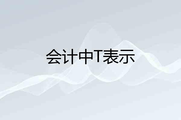 会计中T表示