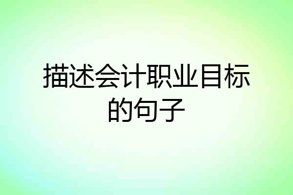 描述会计职业目标的句子