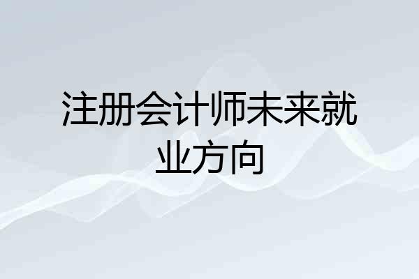注册会计师未来就业方向