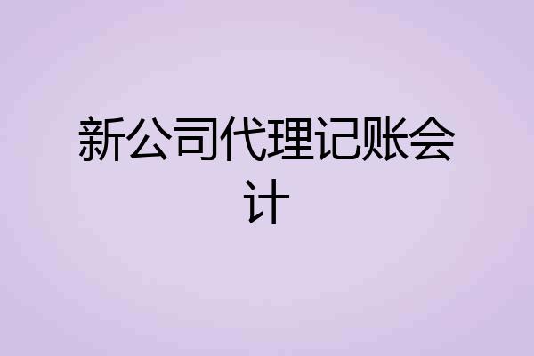 新公司代理记账会计