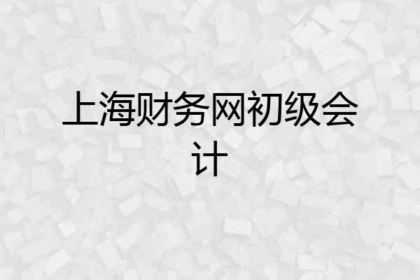 上海财务网初级会计
