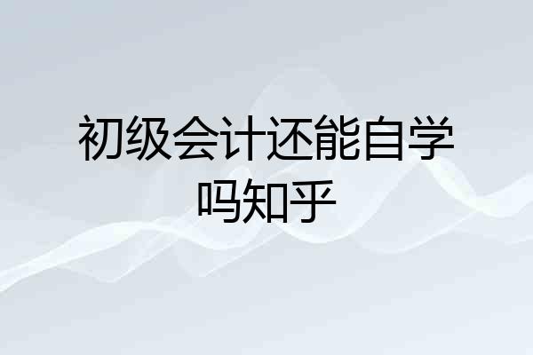 初级会计还能自学吗知乎