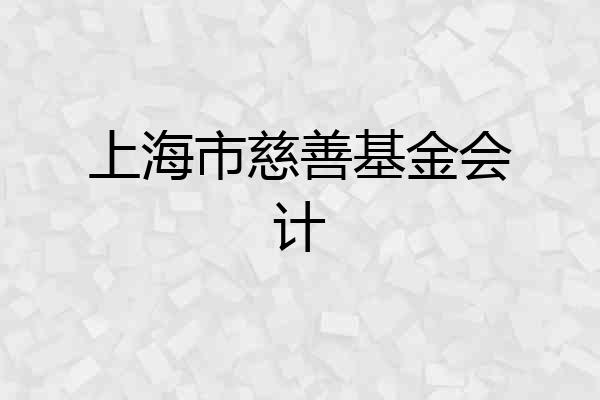 上海市慈善基金会计