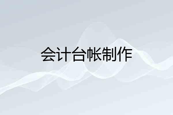 会计台帐制作