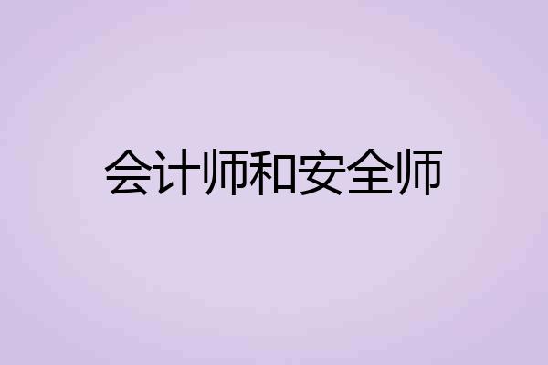 会计师和安全师