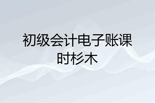 初级会计电子账课时杉木