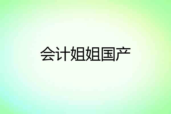 会计姐姐国产