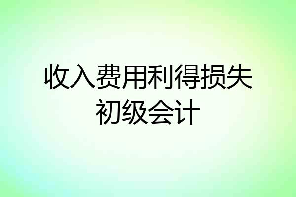 收入费用利得损失初级会计