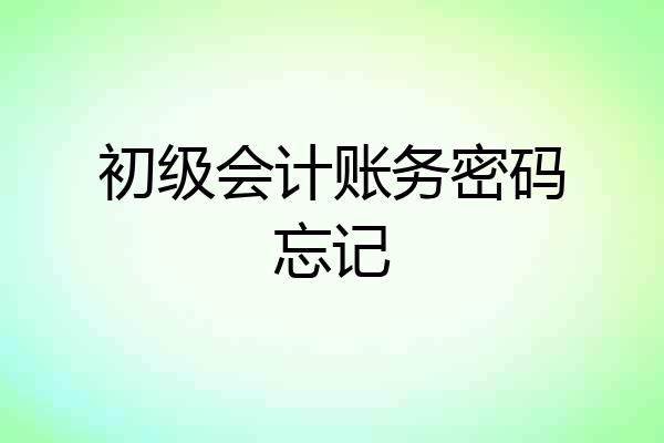 初级会计账务密码忘记