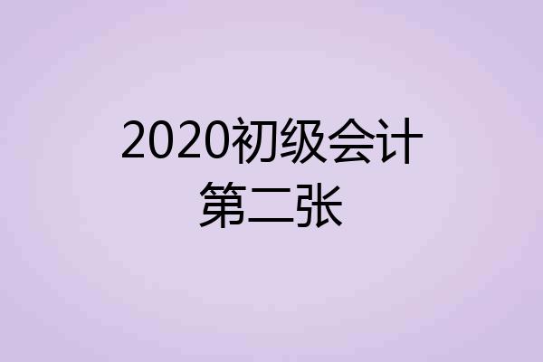 2020初级会计第二张
