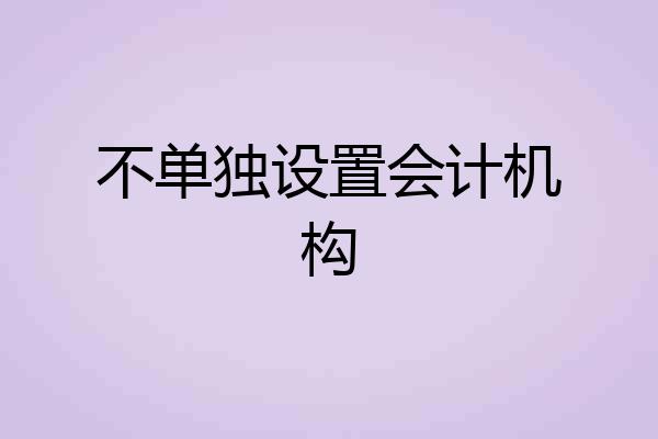 不单独设置会计机构