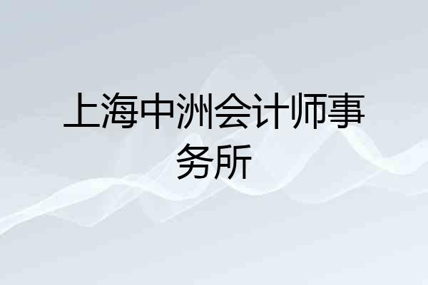 上海中洲会计师事务所
