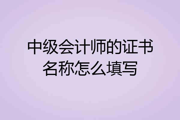 中级会计师的证书名称怎么填写