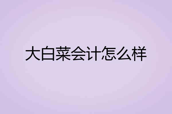 大白菜会计怎么样