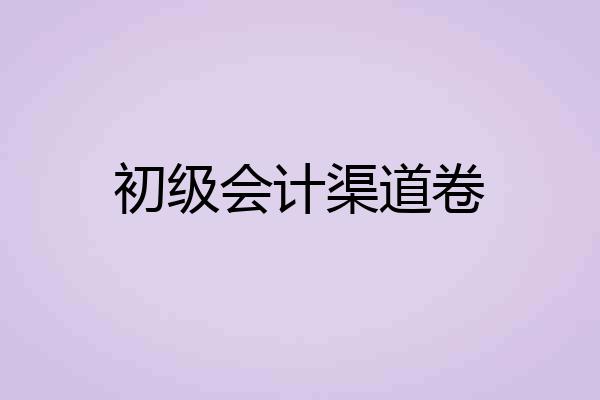 初级会计渠道卷
