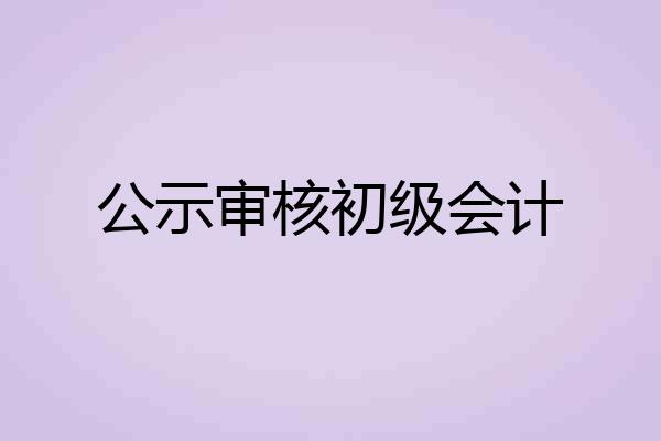 公示审核初级会计