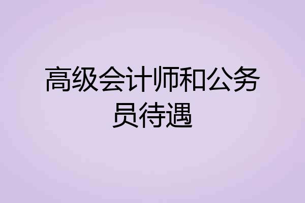 高级会计师和公务员待遇