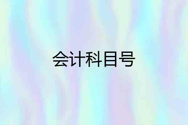 会计科目号