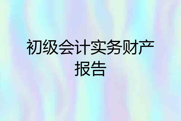 初级会计实务财产报告