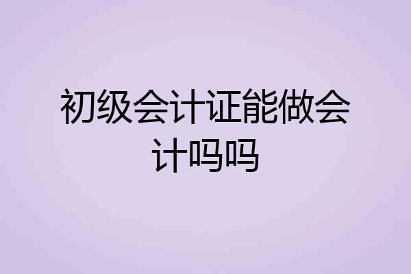 初级会计证能做会计吗吗