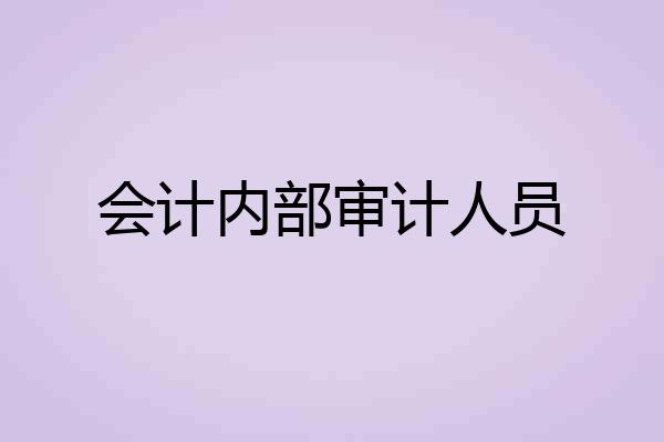 会计内部审计人员
