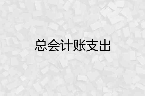 总会计账支出