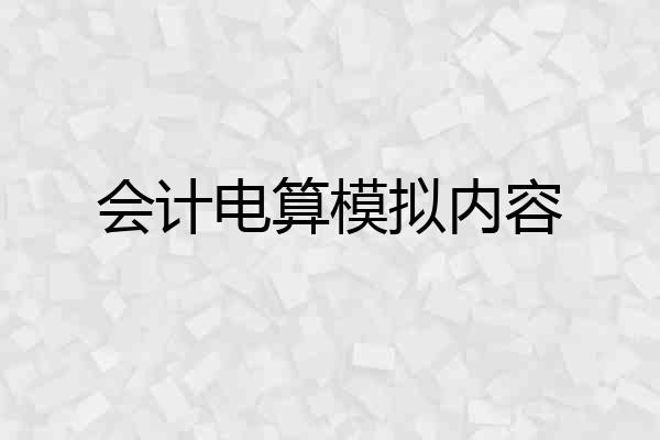会计电算模拟内容