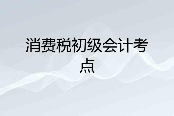 消费税初级会计考点