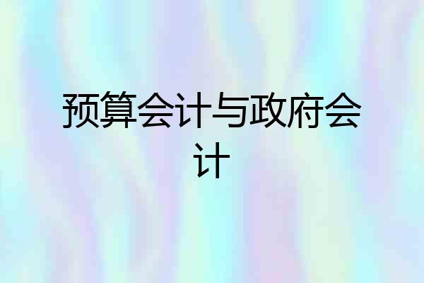 预算会计与政府会计