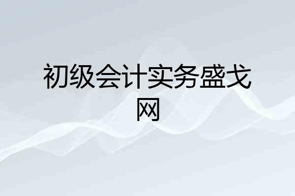 初级会计实务盛戈网