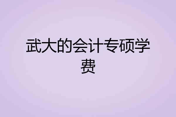 武大的会计专硕学费