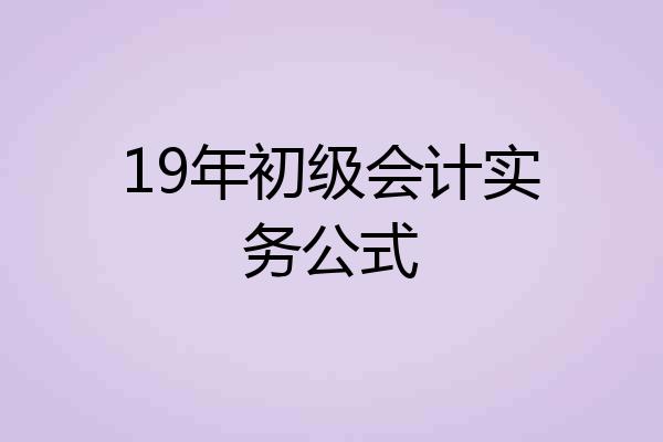 19年初级会计实务公式