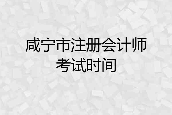 咸宁市注册会计师考试时间