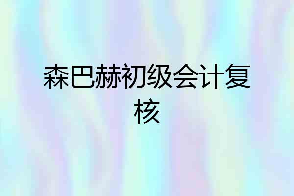 森巴赫初级会计复核